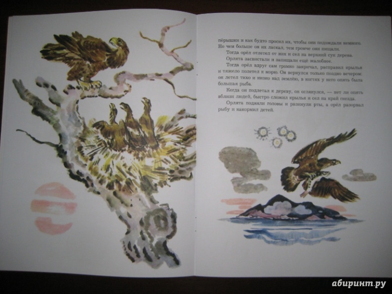 Иллюстрация 19 из 48 для О животных и птицах - Лев Толстой | Лабиринт - книги. Источник: Никoль