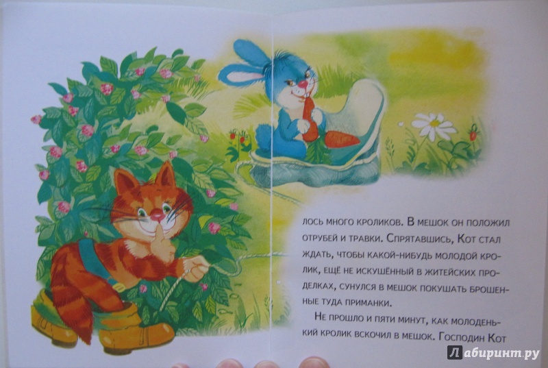 Иллюстрация 7 из 13 для Кот в сапогах | Лабиринт - книги. Источник: Чернова  Анастасия Юрьевна