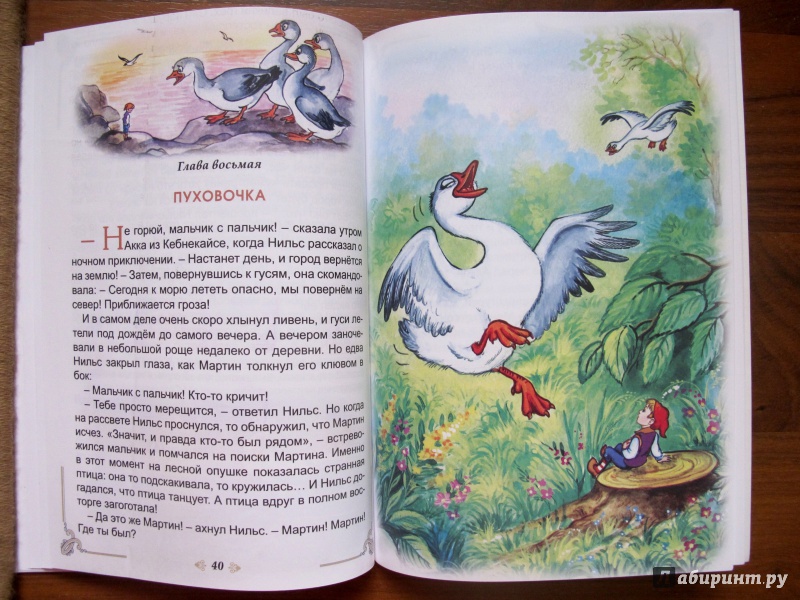 Иллюстрация 8 из 15 для Чудесное путешествие Нильса с дикими гусями - Сельма Лагерлеф | Лабиринт - книги. Источник: Vi_ta