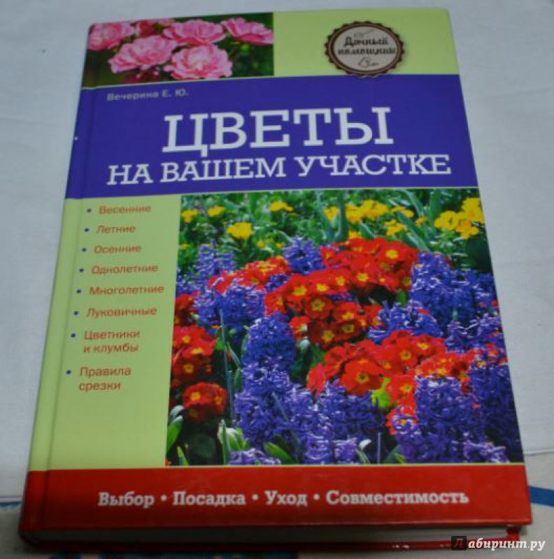 Иллюстрация 2 из 11 для Цветы на вашем участке - Елена Вечерина | Лабиринт - книги. Источник: K@tyar@