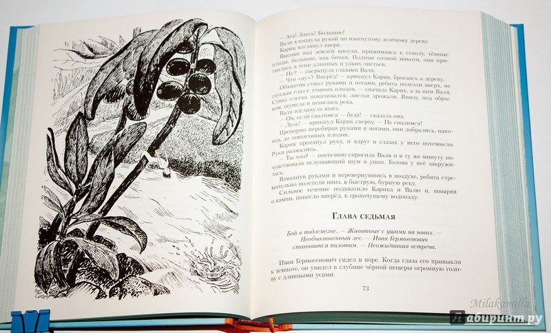 Иллюстрация 71 из 101 для Необыкновенные приключения Карика и Вали - Ян Ларри | Лабиринт - книги. Источник: Букландия