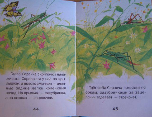 Иллюстрация 22 из 23 для Лесные сказки - Виталий Бианки | Лабиринт - книги. Источник: Зарудная Нина Георгиевна