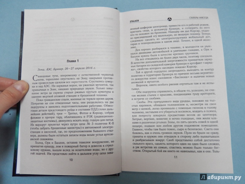 Иллюстрация 6 из 6 для Пленники Зоны. Сталкеры навсегда - Сергей Коротков | Лабиринт - книги. Источник: dbyyb