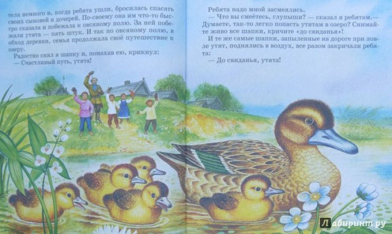 Иллюстрация 2 из 12 для Лисичкин хлеб - Михаил Пришвин | Лабиринт - книги. Источник: Половинка  Юля
