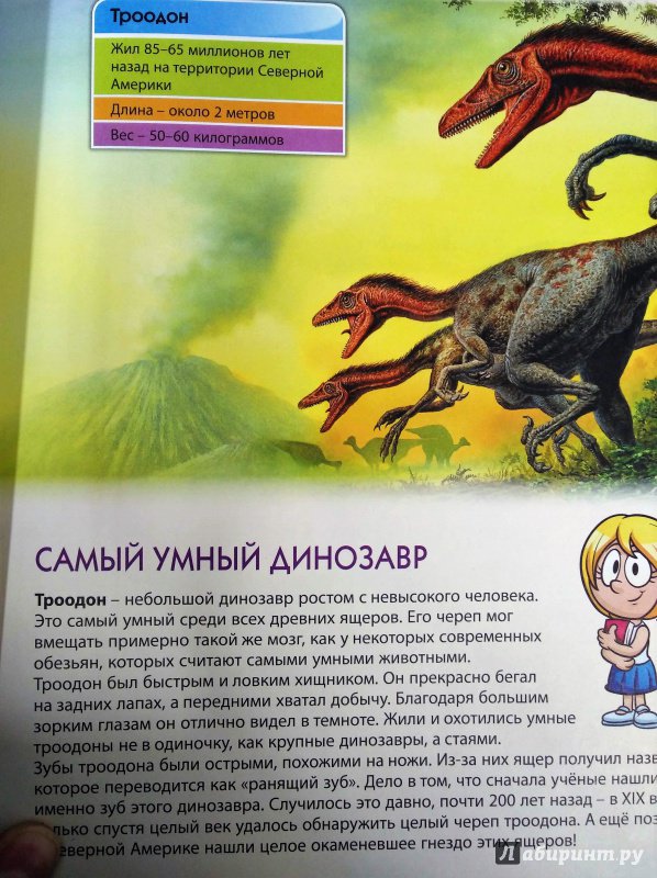 Иллюстрация 7 из 26 для Динозавры. Первая книга с большими буквами - Елена Гриценко | Лабиринт - книги. Источник: Савчук Ирина