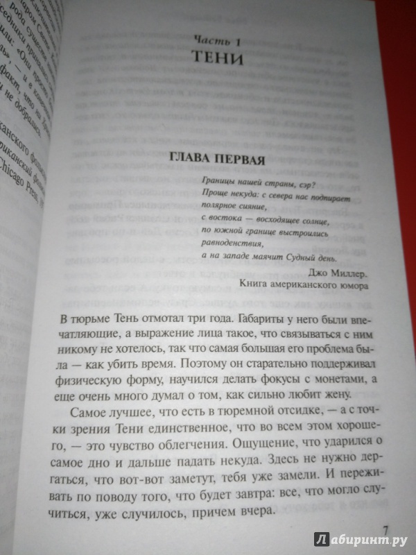 Иллюстрация 21 из 42 для Американские боги - Нил Гейман | Лабиринт - книги. Источник: Морозова  Карина