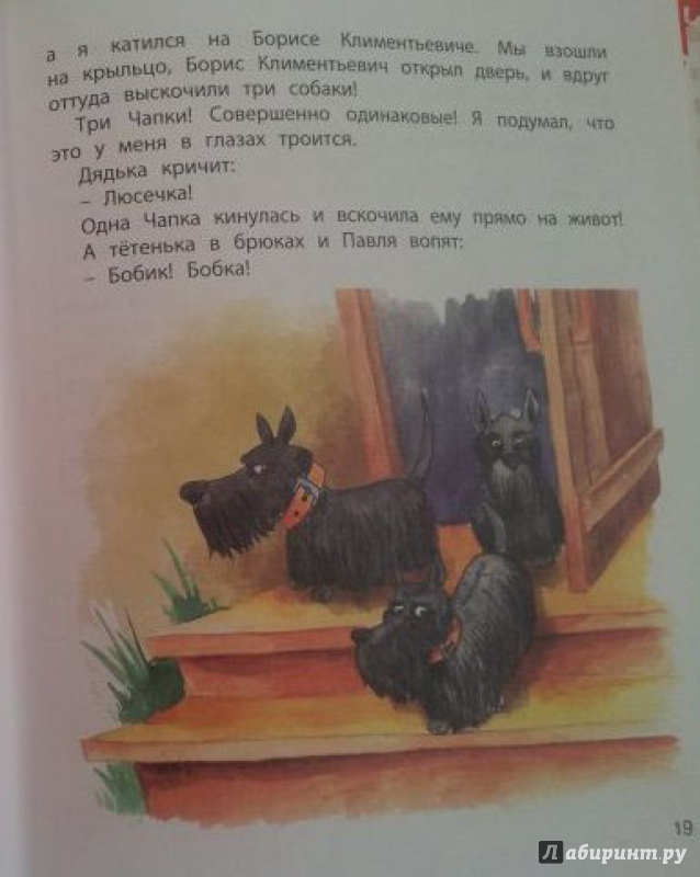 Иллюстрация 12 из 17 для Укротители собак - Раскин, Драгунский, Сотник | Лабиринт - книги. Источник: Половинка  Юля