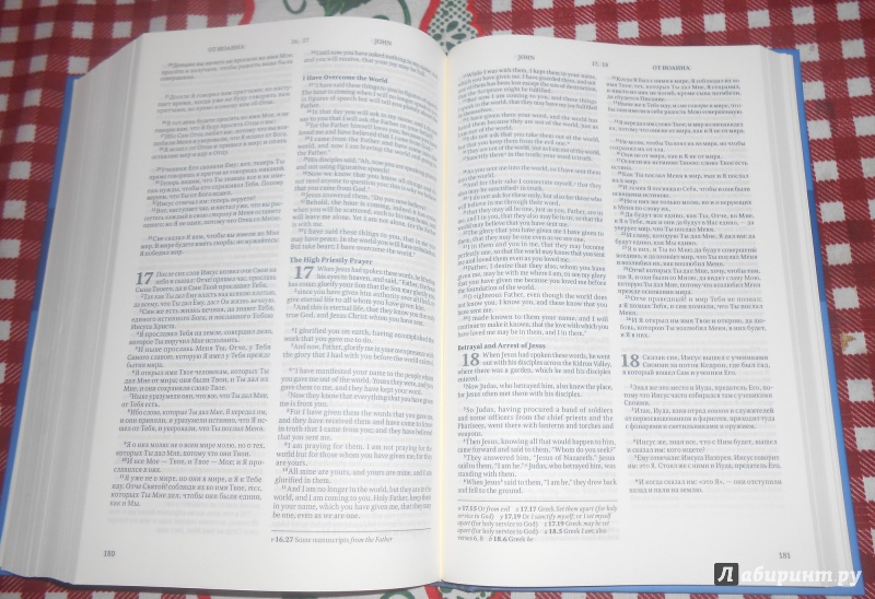 Иллюстрация 6 из 12 для Библия на русском и английском языках | Лабиринт - книги. Источник: Караман  Екатерина