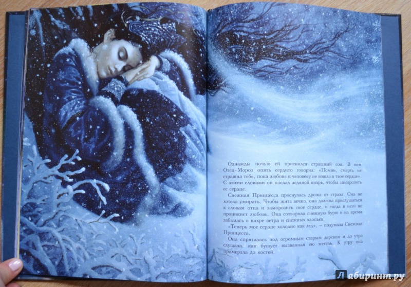 Иллюстрация 12 из 77 для Снежная принцесса - Руф Сандерсон | Лабиринт - книги. Источник: Смолинова  Анастасия Олеговна