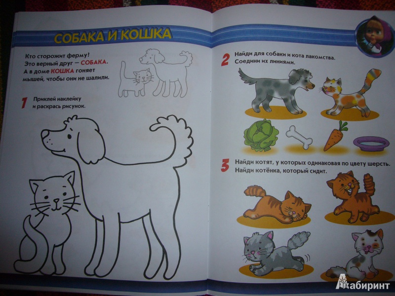 Иллюстрация 3 из 6 для На ферме. Маша и Медведь. Учимся с Машей. 2-3 года | Лабиринт - книги. Источник: Kotenok