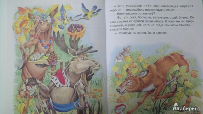 Иллюстрация 3 из 18 для Отчего у зайца длинные уши | Лабиринт - книги. Источник: Katty