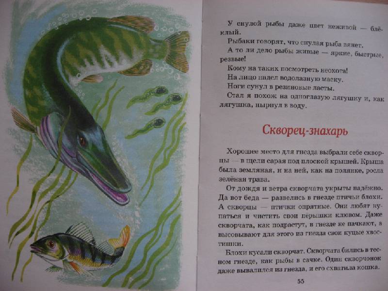 Иллюстрация 17 из 20 для Бюро лесных услуг - Николай Сладков | Лабиринт - книги. Источник: Юта
