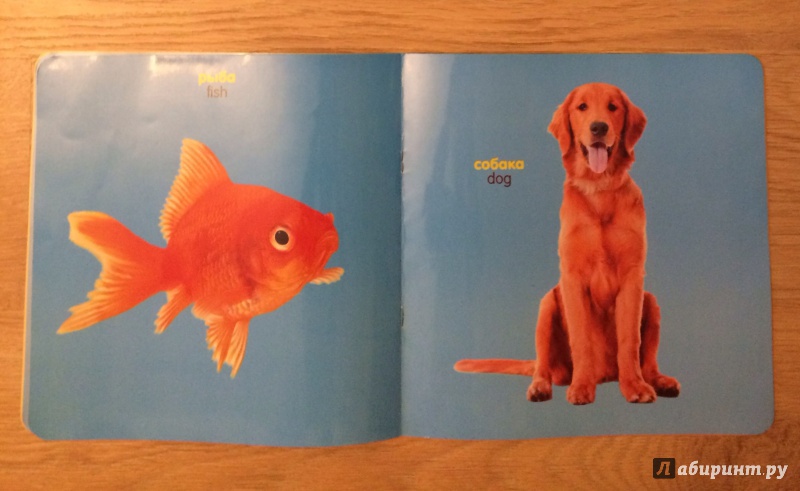 Иллюстрация 5 из 10 для Зверушки, рыбки и птички (для детей от 0 до 18 месяцев) | Лабиринт - книги. Источник: В  Ольга