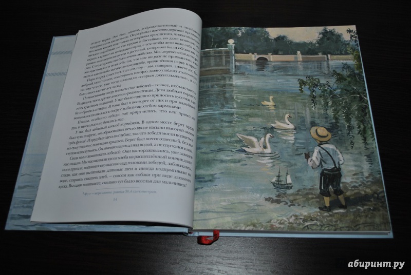 Иллюстрация 49 из 58 для Морской волчонок - Рид Майн | Лабиринт - книги. Источник: Марисабель