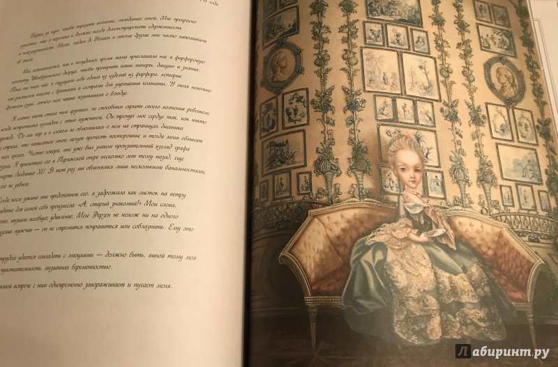 Иллюстрация 47 из 61 для Мария-Антуанетта. Тайный дневник королевы - Бенжамен Лакомб | Лабиринт - книги. Источник: Reeka