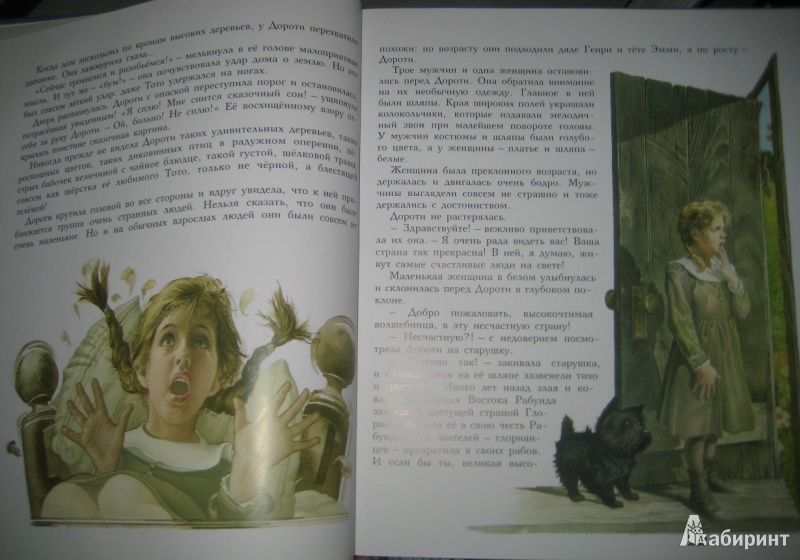 Иллюстрация 7 из 40 для Волшебник страны Оз - Лаймен Баум | Лабиринт - книги. Источник: Макарова  Елена