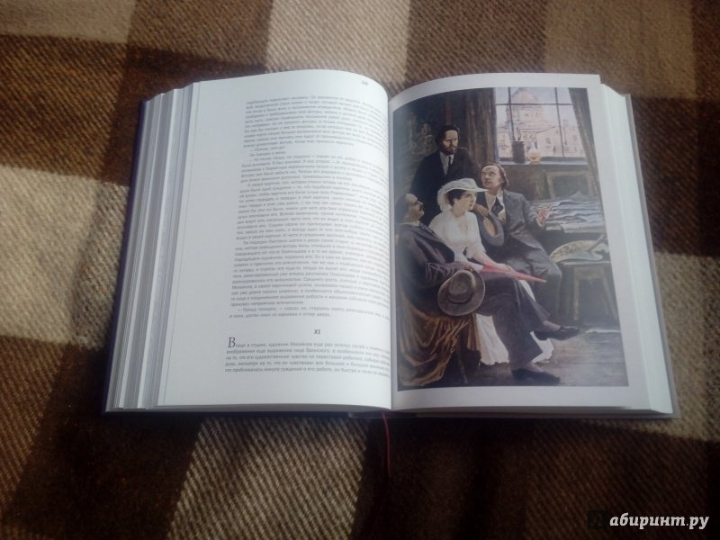 Иллюстрация 14 из 65 для Анна Каренина - Лев Толстой | Лабиринт - книги. Источник: Доронина  Елена Юрьевна