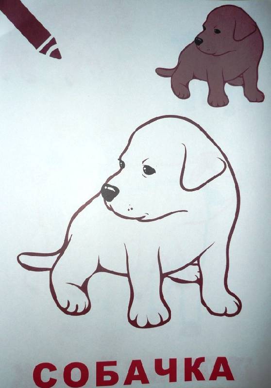 Иллюстрация 5 из 9 для Маленький художник. Выпуск 1. Животные | Лабиринт - книги. Источник: Ятакая