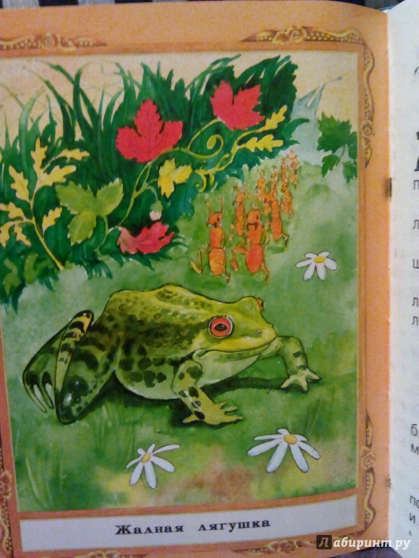 Иллюстрация 1 из 11 для Сказки о животных | Лабиринт - книги. Источник: Анютка