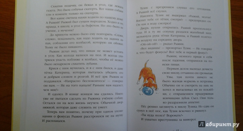Иллюстрация 29 из 46 для Тузик, Рыжий и гости - Ян Грабовский | Лабиринт - книги. Источник: Викуша-мама