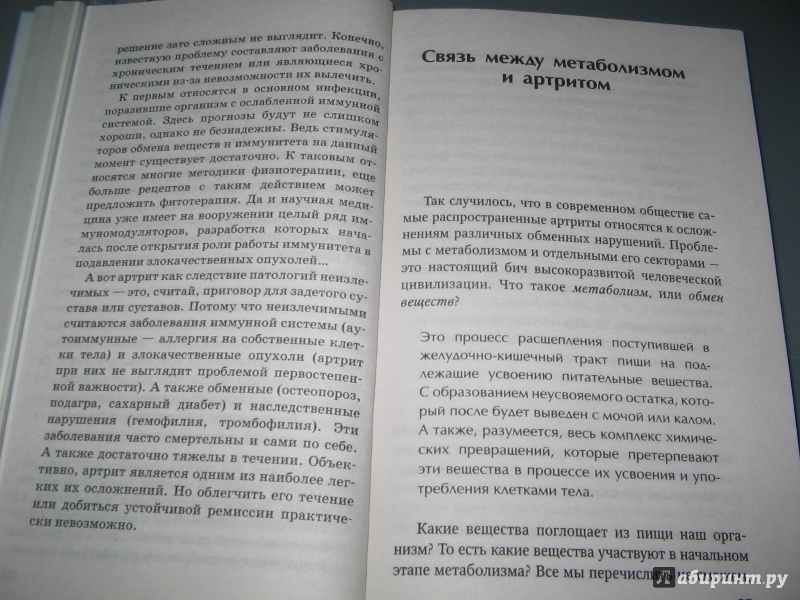 Иллюстрация 4 из 5 для Самое важное об артрите | Лабиринт - книги. Источник: Alonka