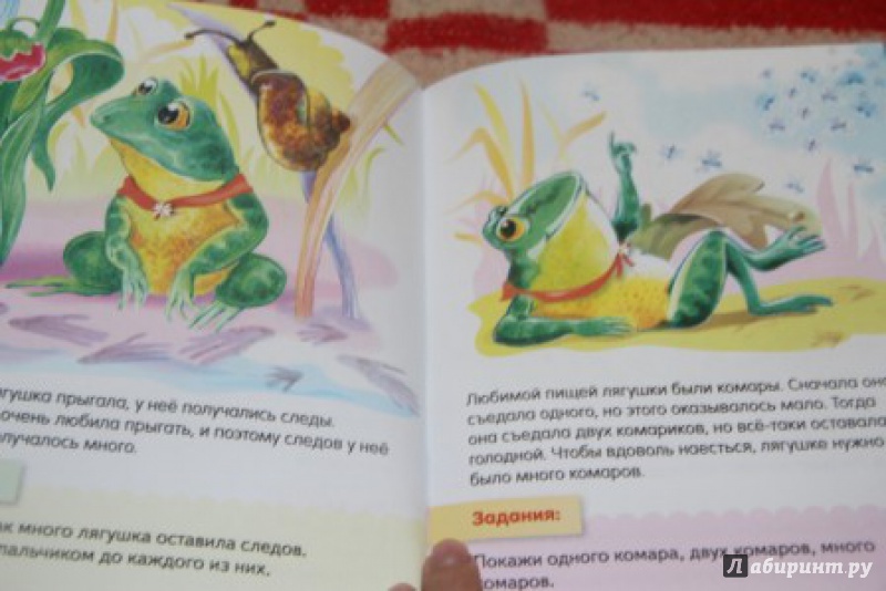 Иллюстрация 5 из 31 для Один, два, много, или Жила-была лягушка - Марина Султанова | Лабиринт - книги. Источник: Юленция