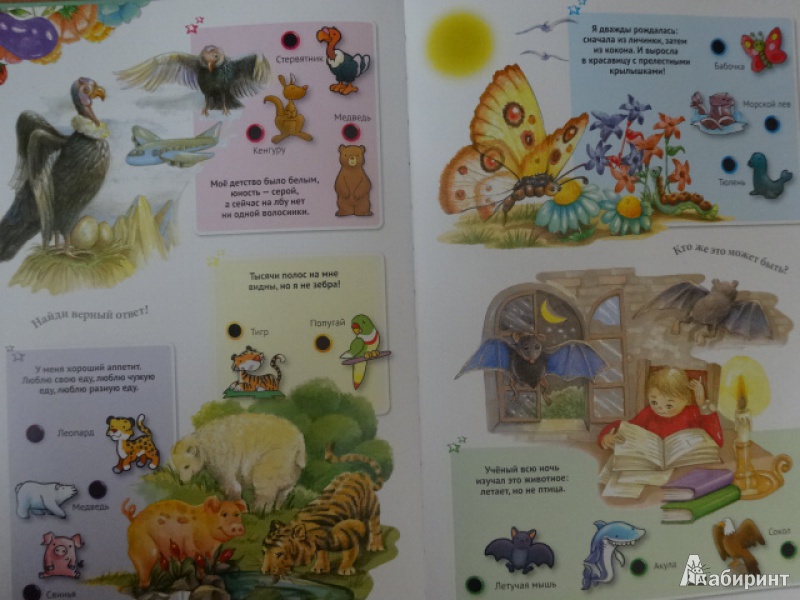 Иллюстрация 10 из 42 для Для малышей загадки о животных | Лабиринт - книги. Источник: Руматочка