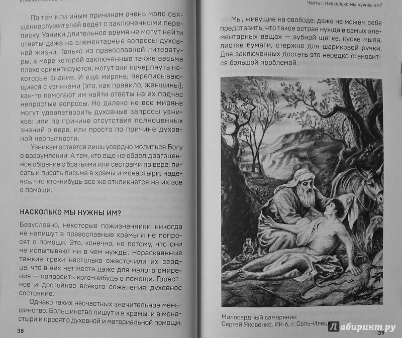 Иллюстрация 4 из 15 для Епархия особого режима - Кирилл Диакон | Лабиринт - книги. Источник: a_larch