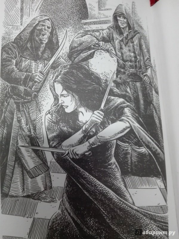 Иллюстрация 9 из 10 для Проклятие Этари - Анастасия Сычева | Лабиринт - книги. Источник: Сафиулина  Юлия