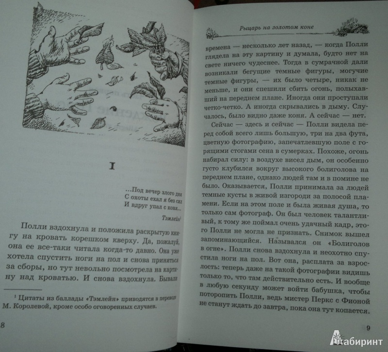 Иллюстрация 7 из 36 для Рыцарь на золотом коне - Диана Джонс | Лабиринт - книги. Источник: Леонид Сергеев