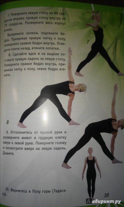 Иллюстрация 8 из 13 для The Gift of Yoga. Подарочный комплект  (+DVD) - Ирина Шевцова | Лабиринт - книги. Источник: WhiteOwl
