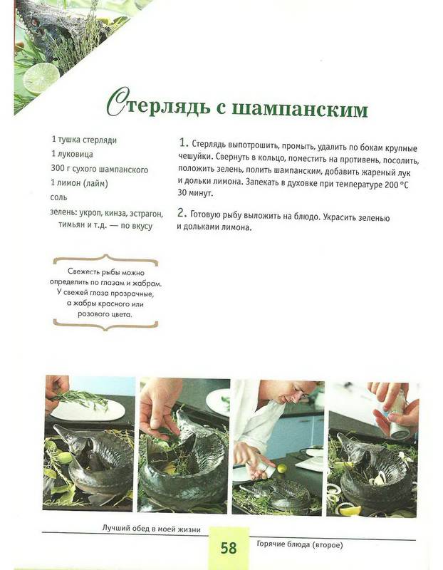 Иллюстрация 16 из 24 для Лучший обед в моей жизни - Александр Селезнев | Лабиринт - книги. Источник: Ялина