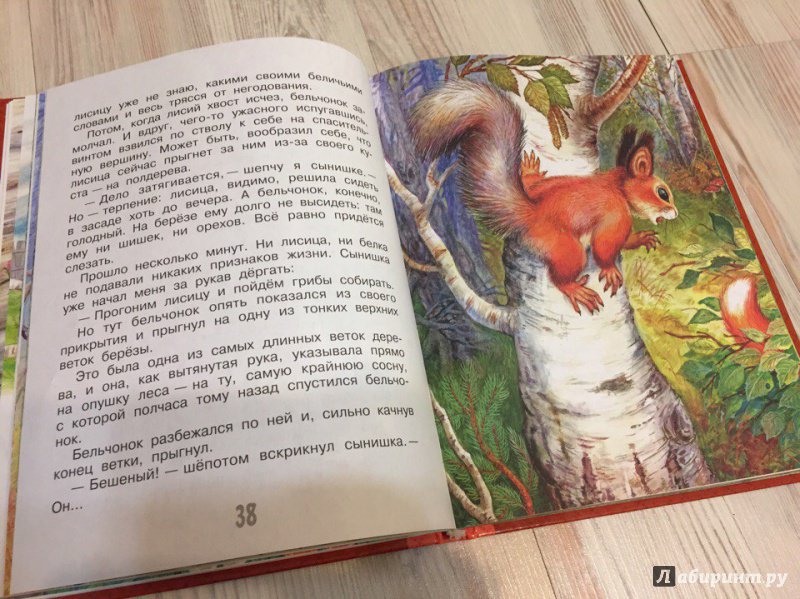 Иллюстрация 16 из 19 для Лесные сказки и истории - Бианки, Сладков, Пришвин | Лабиринт - книги. Источник: Marble nymph