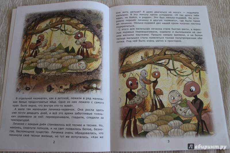 Иллюстрация 3 из 23 для Познавательные сказки. Появление муравьишки - Лариса Тарасенко | Лабиринт - книги. Источник: По страницам детских книг