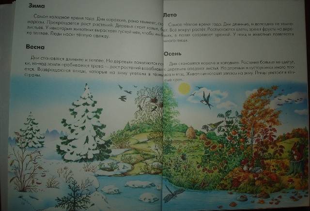 Иллюстрация 8 из 20 для Атлас Земли - Инна Светлова | Лабиринт - книги. Источник: Настёна