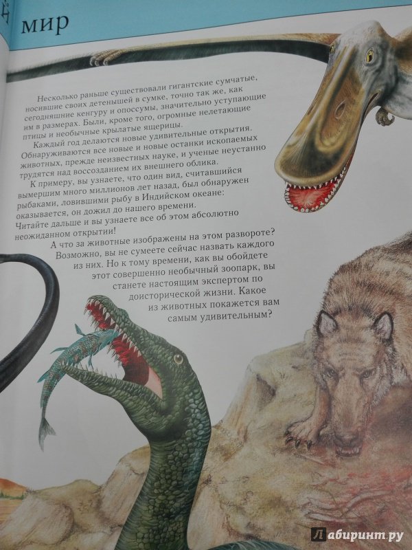 Иллюстрация 14 из 58 для Вымершие животные. Полная энциклопедия | Лабиринт - книги. Источник: Сафиулина  Юлия