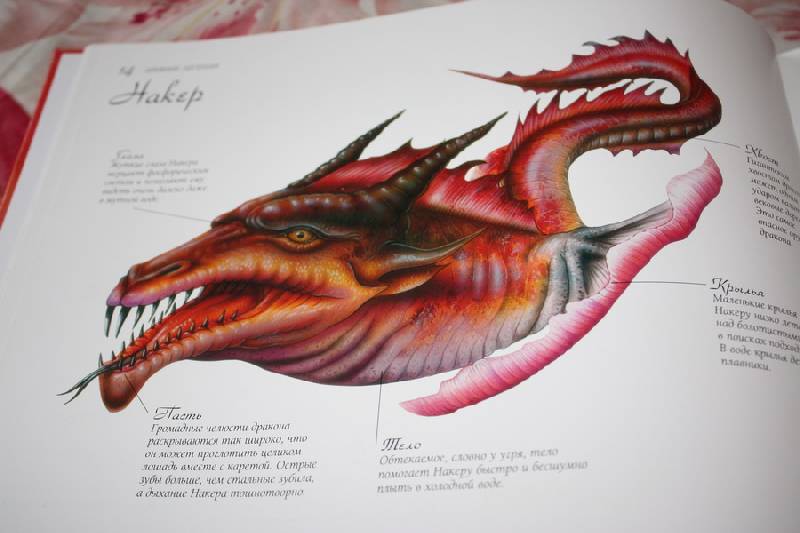 Иллюстрация 7 из 26 для Драконология | Лабиринт - книги. Источник: Шелковица