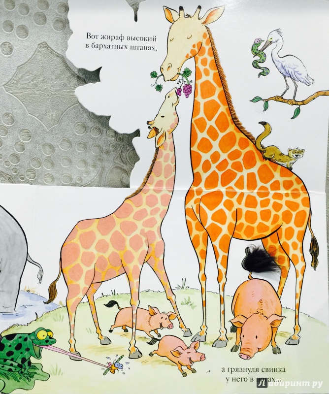 Иллюстрация 50 из 70 для Зоопарк - Флит Ван | Лабиринт - книги. Источник: Слюсарева  Екатерина