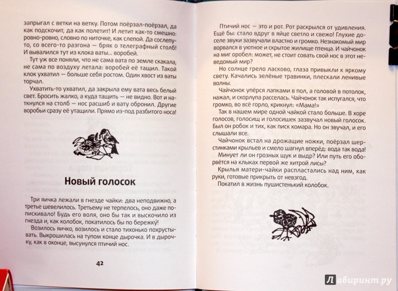 Иллюстрация 10 из 51 для Весенние радости - Николай Сладков | Лабиринт - книги. Источник: E.B.