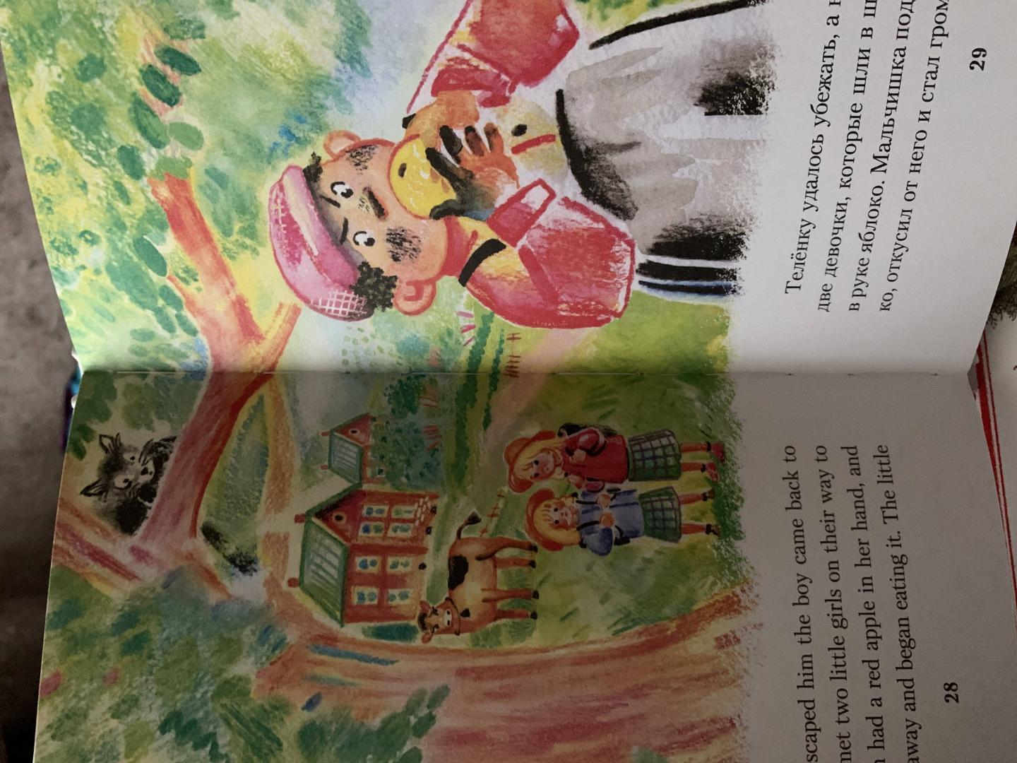 Иллюстрация 26 из 28 для Мандарин и бабочка - Лаймен Баум | Лабиринт - книги. Источник: Гончарова  Марина