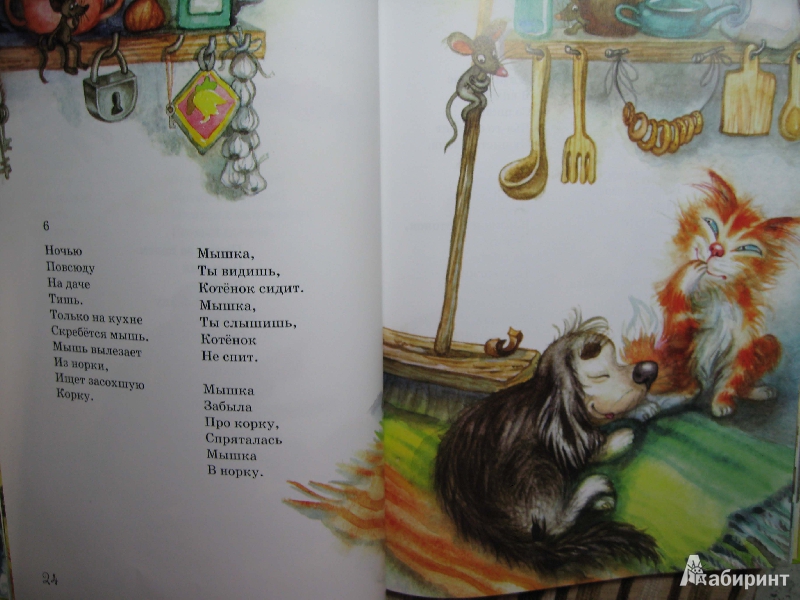 Иллюстрация 10 из 18 для Котенок и щенок - Александр Введенский | Лабиринт - книги. Источник: Белкина  Виктория