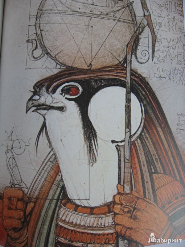 Иллюстрация 29 из 44 для Феникс. Народная легенда | Лабиринт - книги. Источник: Баскова  Юлия Сергеевна