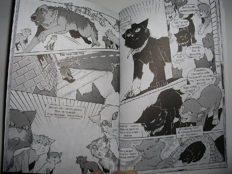 Иллюстрация 38 из 44 для Крутобок & Бич. Комплект комиксов из 4-х книг - Эрин Хантер | Лабиринт - книги. Источник: Tiger.