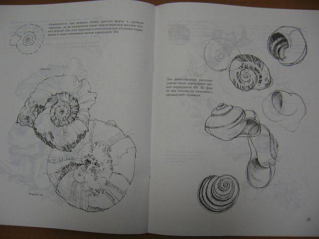 Иллюстрация 3 из 21 для Учитесь рисовать природу - Мойра Хантли | Лабиринт - книги. Источник: rizik