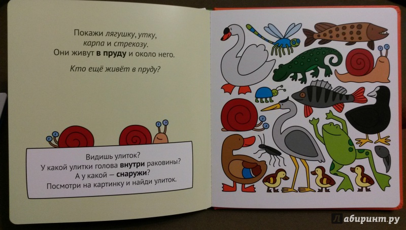 Иллюстрация 10 из 13 для Учим животных и противоположности | Лабиринт - книги. Источник: Петрашова  Мария
