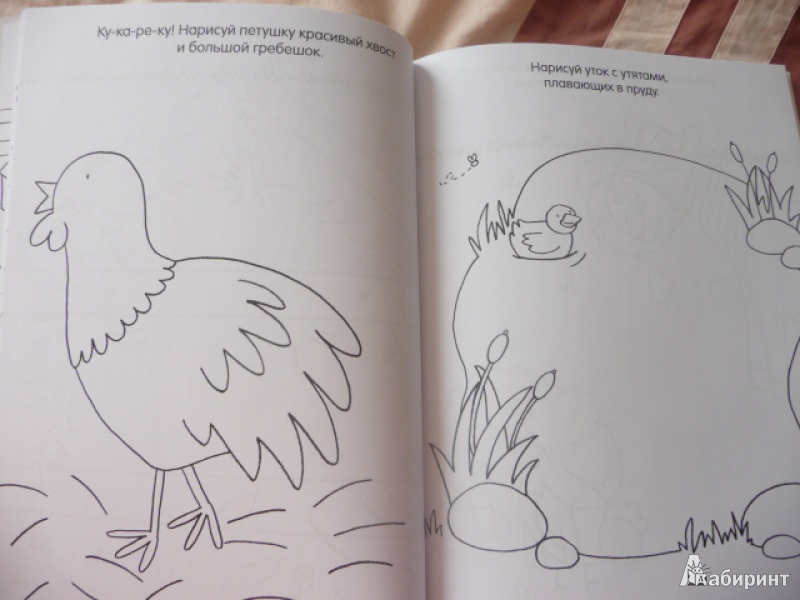 Иллюстрация 11 из 39 для Книга детского творчества. Забавные животные | Лабиринт - книги. Источник: Anyta23