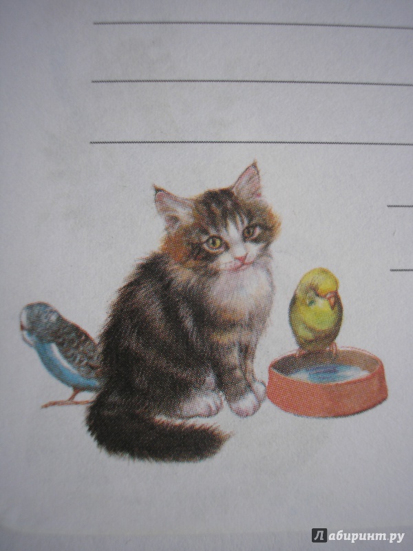 Иллюстрация 13 из 34 для Блокнот. Кошки А6 | Лабиринт - канцтовы. Источник: Oksana L