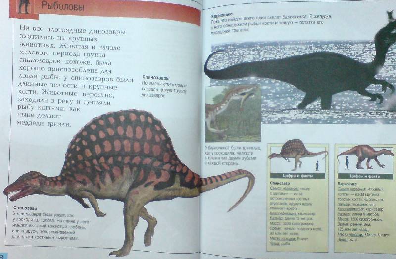 Иллюстрация 2 из 12 для Самые удивительные динозавры (серая) - Дугал Диксон | Лабиринт - книги. Источник: Настёна