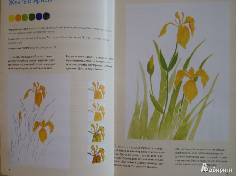 Иллюстрация 4 из 8 для Рисуем цветы (акварель) - Кирси Цюльке | Лабиринт - книги. Источник: lemour