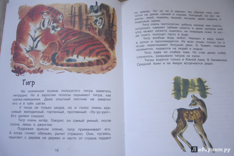 Иллюстрация 33 из 39 для Это все кошки - Игорь Акимушкин | Лабиринт - книги. Источник: kolobus